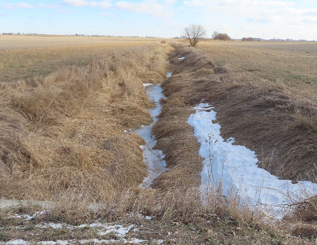 Listing Photo: Diss looking east